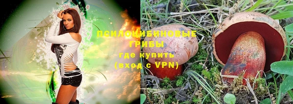 ГАЛЛЮЦИНОГЕННЫЕ ГРИБЫ Беломорск