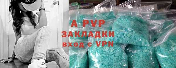 ГАЛЛЮЦИНОГЕННЫЕ ГРИБЫ Беломорск