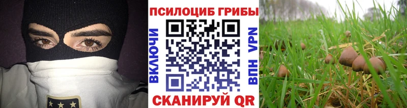 Галлюциногенные грибы мухоморы  наркота  сайты даркнета формула  Сердобск 